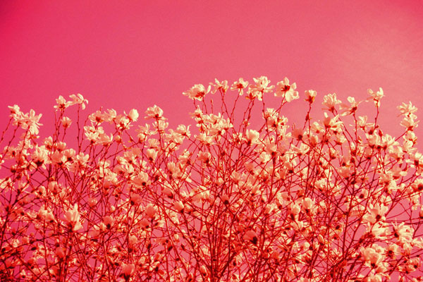 Startup-behoud-medewerkers